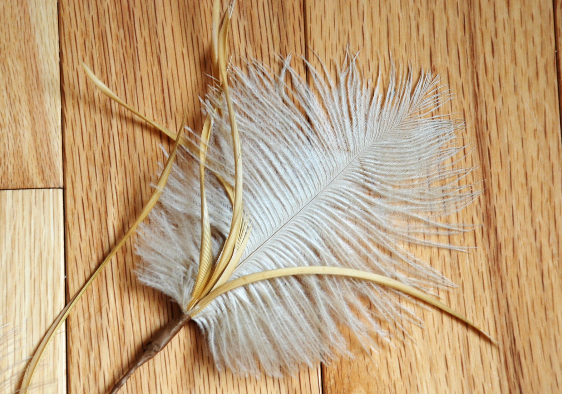 How To | Bridesmaid Feather Fascinator