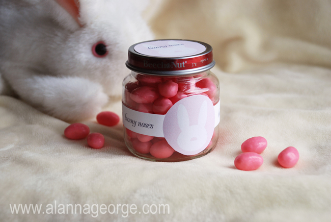 How To | Bunny Noses Party Favor
