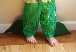 Halloween Costume, Mermaid Costume