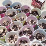Frozen Pudding Cup, Cool Whip Dessert, Toddler Birthday Treat