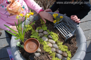 Planting Flowers, Flower Planter