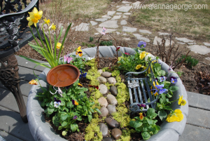 Darice Fairy Garden, Magical Garden, Fairy Garden, Miniature Garden