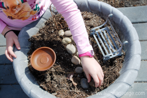 River Rocks, Plater, Summer Flowers